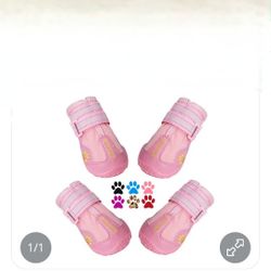 Dog Shoes 