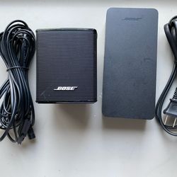 Bose Virtually Invisible 300 Speaker 