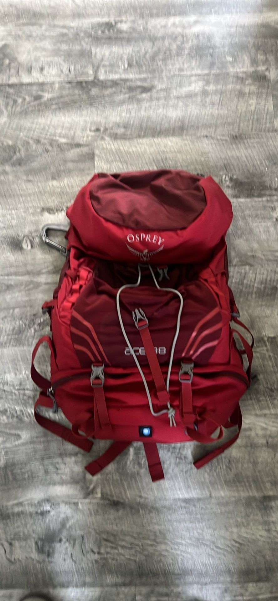 Osprey Ace 38 Youth Hiking Backpack