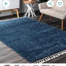 🛁🛁🛁*R67#17 $130 Neva Plush Shag Blue 8 ft.
x 11 ft. Area Rug