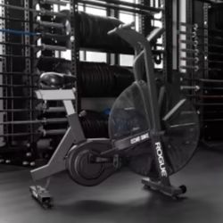 Rogue Fitness Echo Bike  