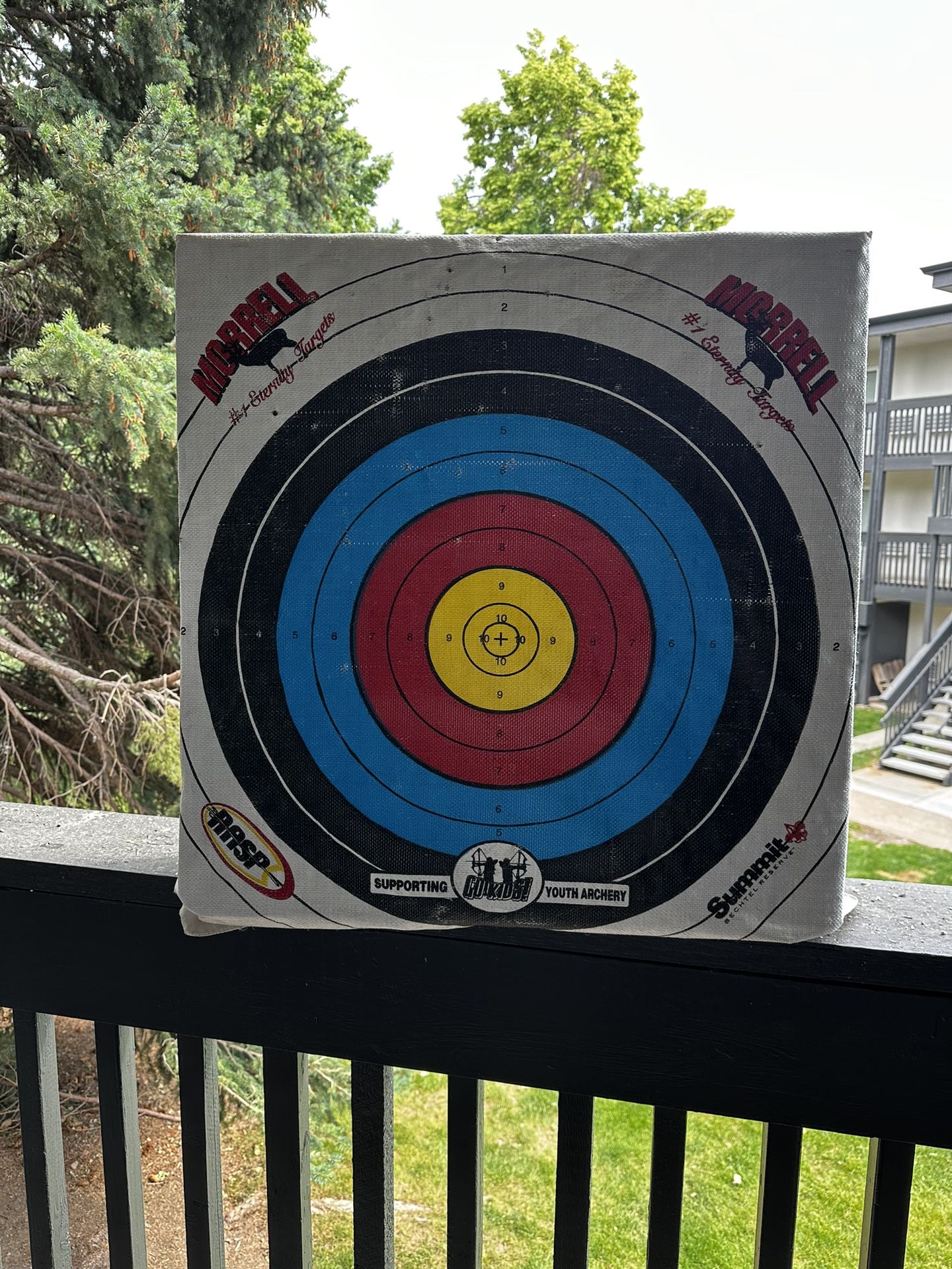 morrell backyard outdoor range archery target