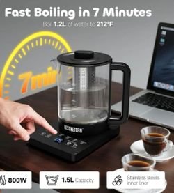 Aesthetern Electric Tea Kettle With Infuser Temperature Control and Automatic Shut Off