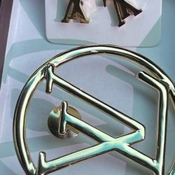LV Pin And Earrings