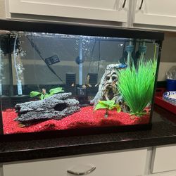 20 Gallon Top Fin Fish Tank (FULL SETUP) 