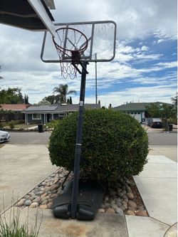 Free Basket Ball Hoop