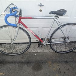 Bridgestone Synergy RB5 Road Bike – Vintage Japanese Classic