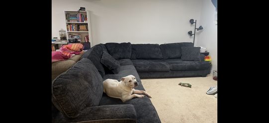 FREE X-L Sectional