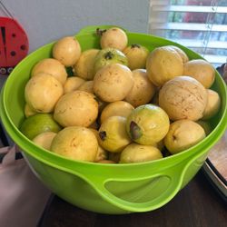 Guayabas Amarillas Muy Dulces For Sale En Venta