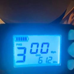 Skute Electric Scooter 