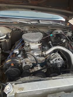 Toyota Honda Chevy Nissan lowrider