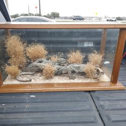 Wood/Glass Taxidermy Display Case