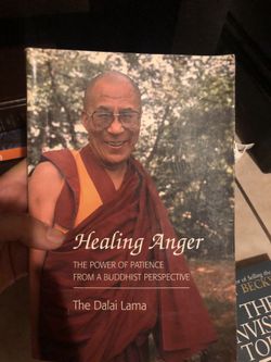 Dalai Lama book