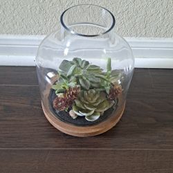 Home Decor 