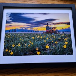 Custom Photography Framed Art Prints