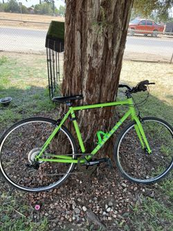 Fairdale 2021 Lookfar 700c bike Cowabunga Green