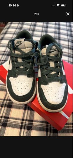 Kids Nike dunks