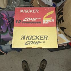 12-in Subwoofer