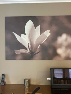 Wall canvas