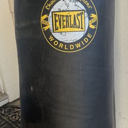 Punching Bag 