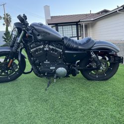 Harley Davidson iron 883