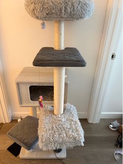 Brand new cat tree 10 dollars