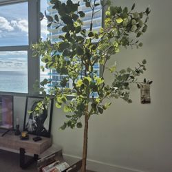 7ft. Gorgeous Indoor /Outdoor Tree. .(New)