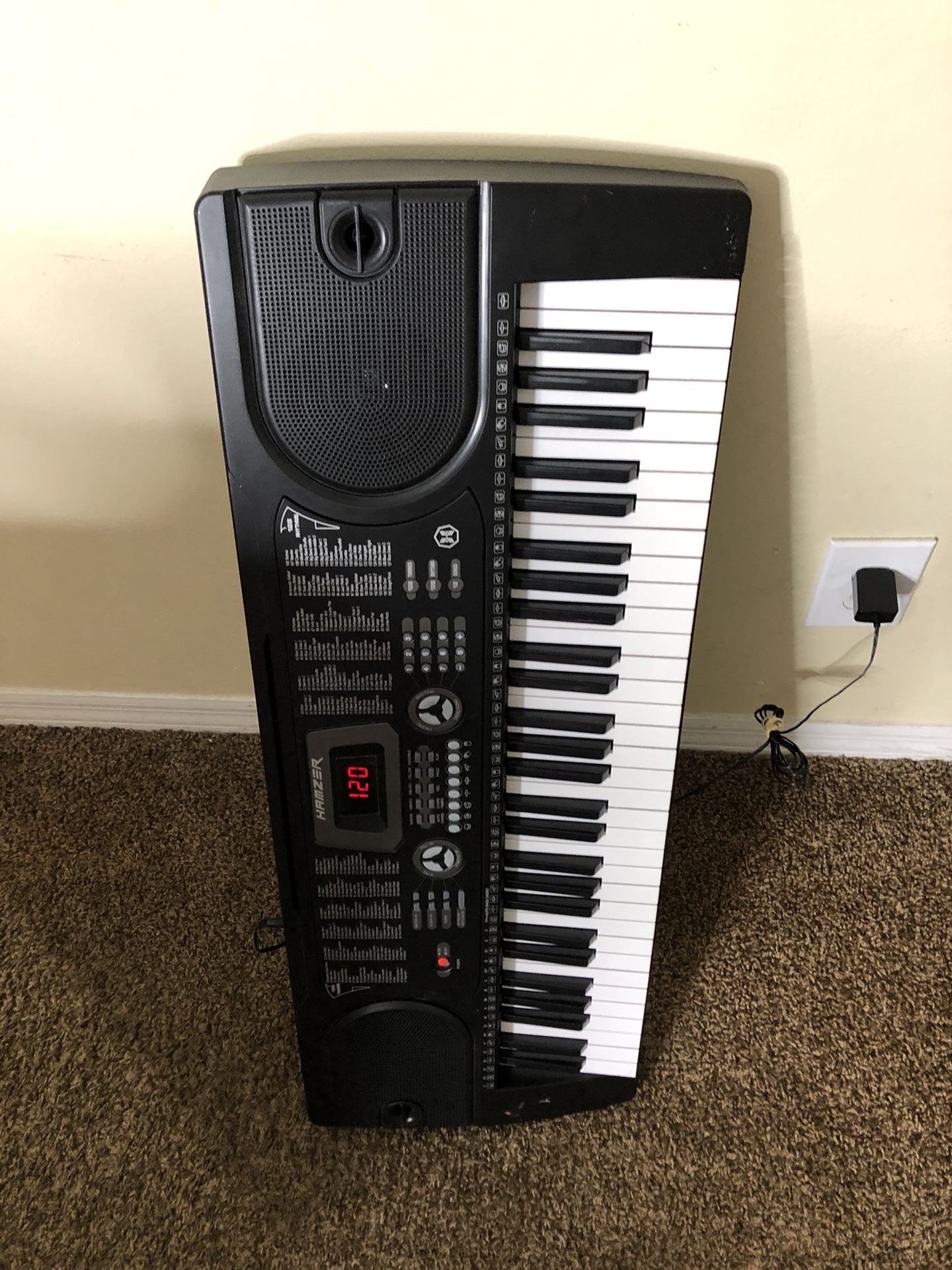 Electronic Piano Electric Organ Keyboard w/ Microphone - Black