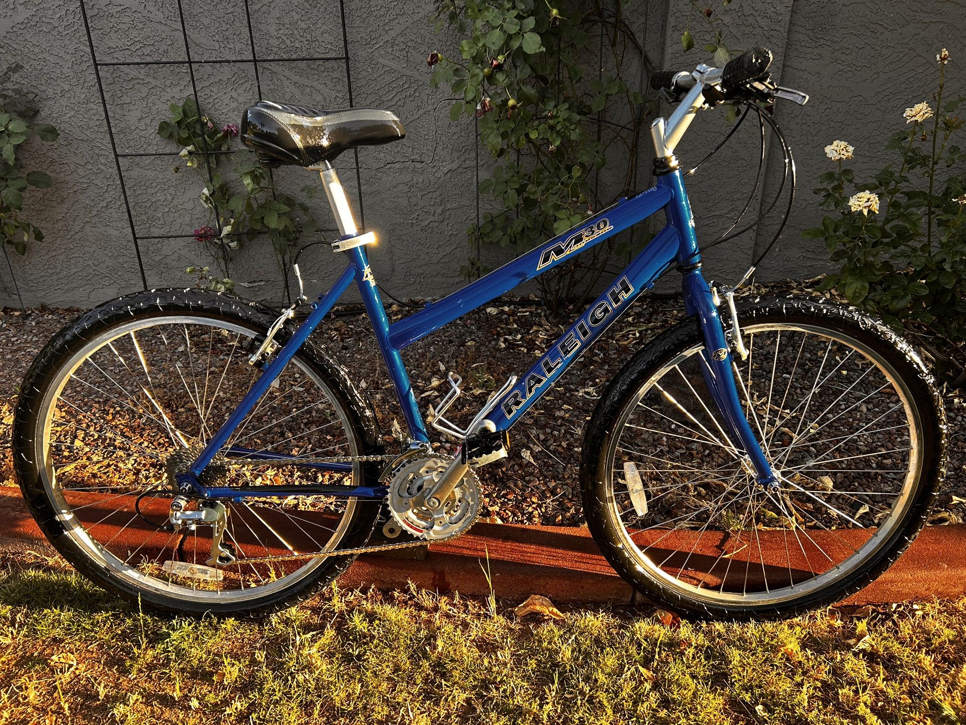 RALEIGH USA BICYCLE COMPANY M30 Mountain Trail 21-Speed Mountain Bike with NEW Tires-Cables-Chain-Seat, plus a FULL Tune-Up