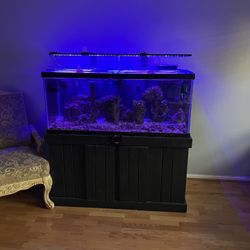 75 Gallon Aquarium