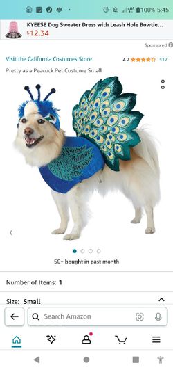 Peacock Dog Costume Large