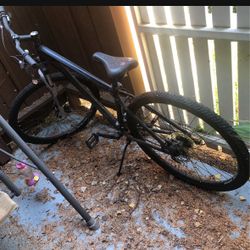 Schwin Bike 