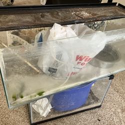Free Aquariums With Rock