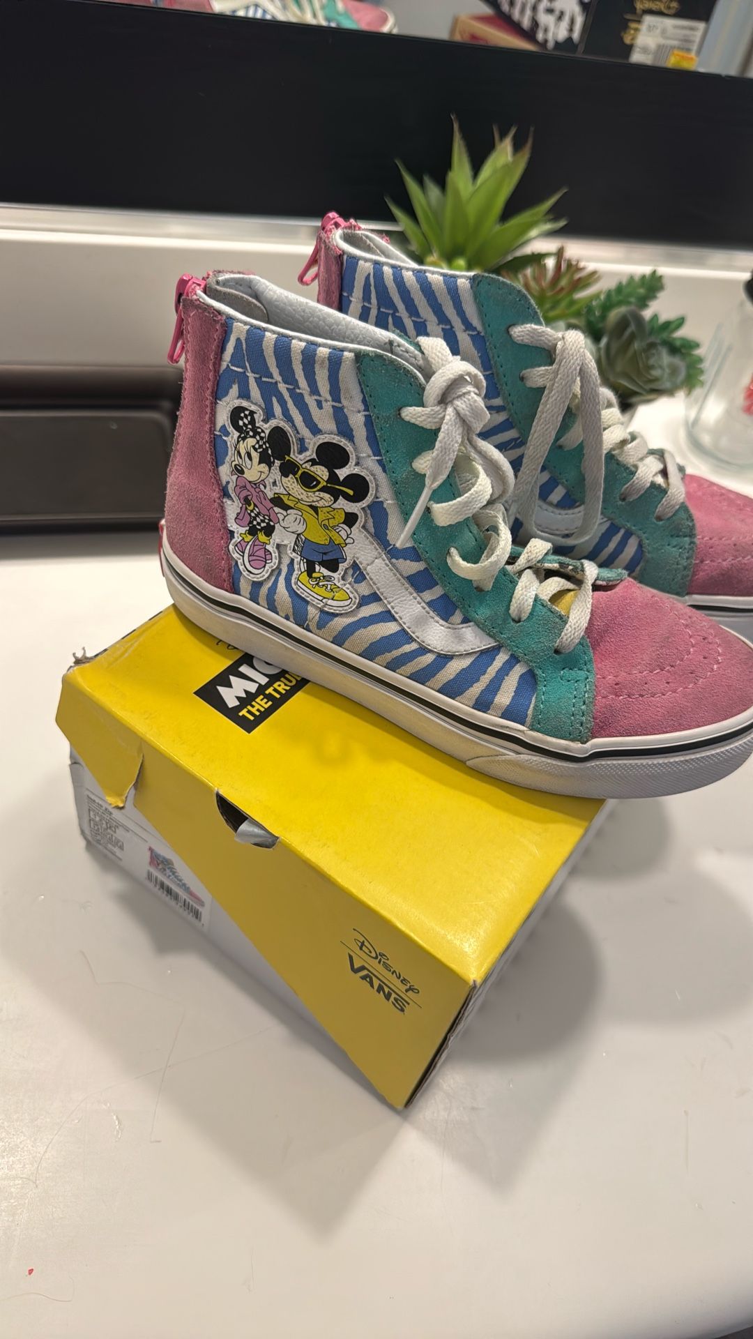 Vans Disney Limited Edition Shoes