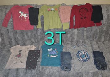 Toddler Girls Outfit Lot Size 3T