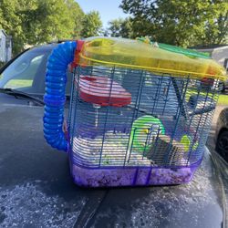 Mouse Cage