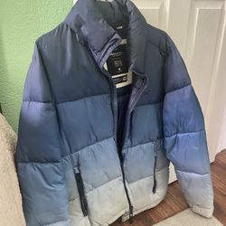 Hollister Puffer Medium 
