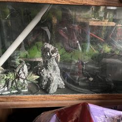 75 Gallon Fish Tank