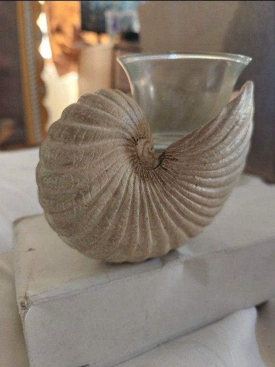 Signature Styles Candle Holder Shell