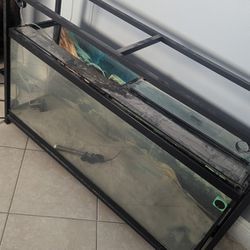 55g Tank With TitanEze Dual Tank Stand 