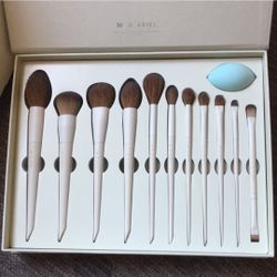 Morphe x Ariel Brush Set NWT 