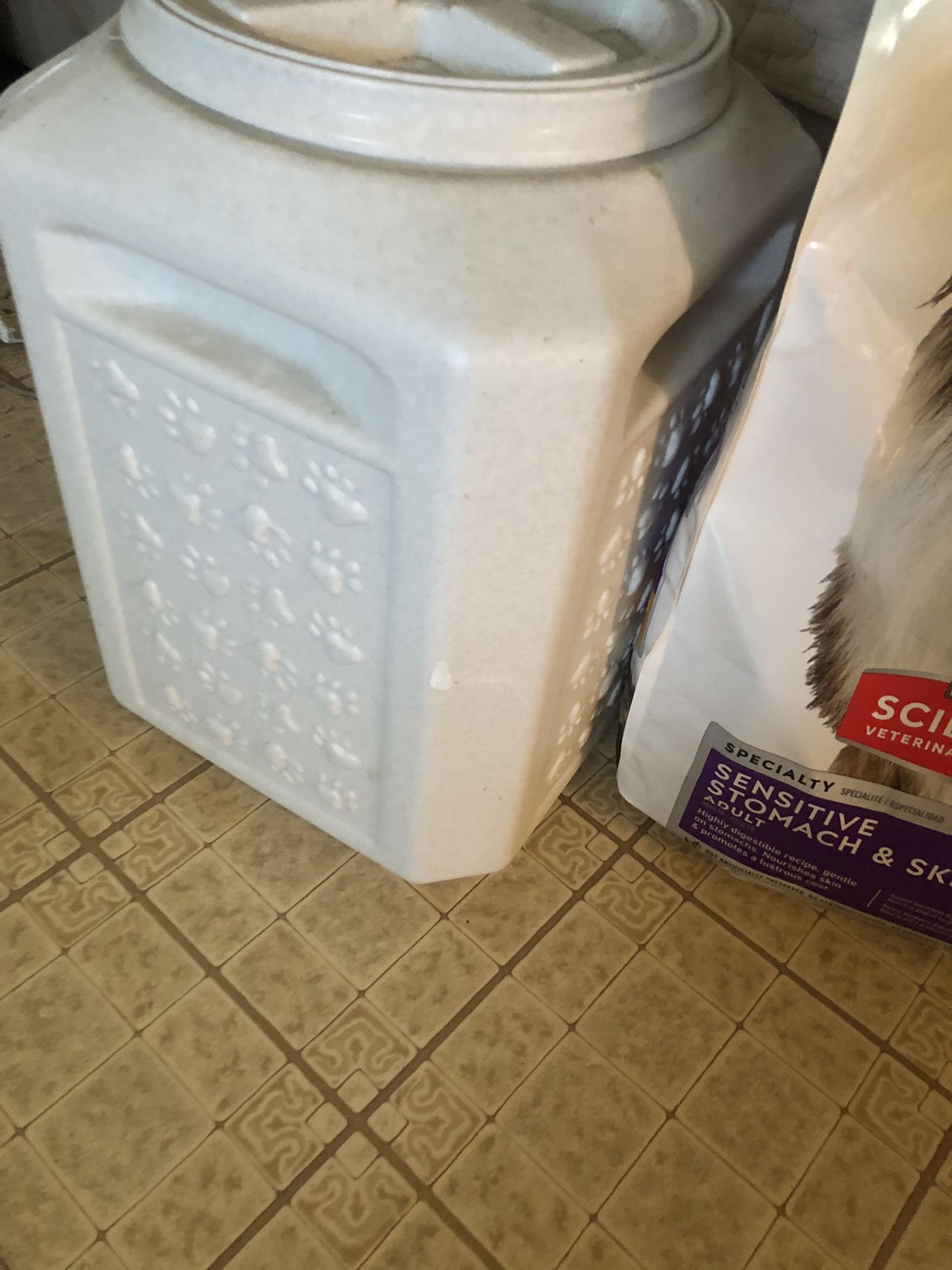 Dog Food Container & Some Free Food