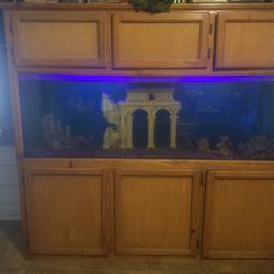 125gal Fish Tank and Stand