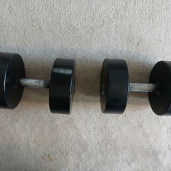 80 lb Dumbbells 