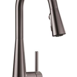 Moen kitchen faucet