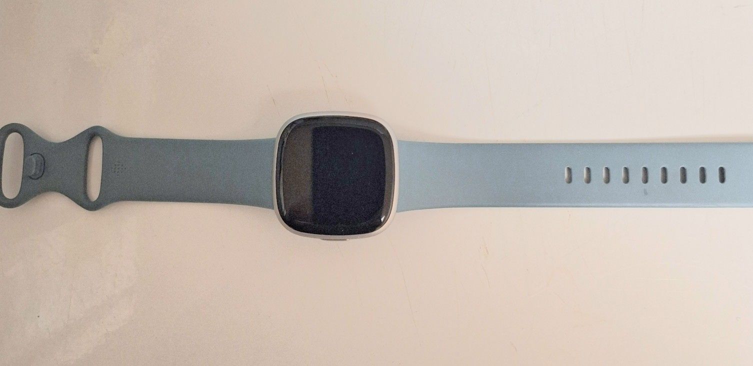 FitBit Versa 4 w/ extra band