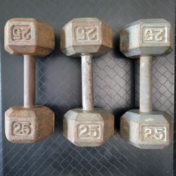 Dumbbells (25lbs Set)