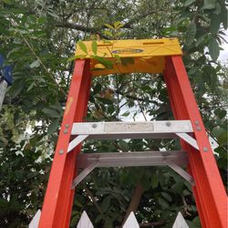 8’ Werner Ladder. 