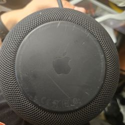 Apple Homepod 2