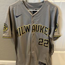 Brand New Christian Yelich Milwaukee Brewers Gray Nike Jersey Men’s Size 40 Medium